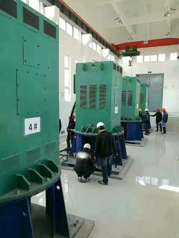 阜沙镇某污水处理厂使用我厂的立式高压电机安装现场